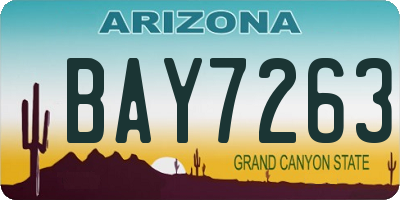 AZ license plate BAY7263