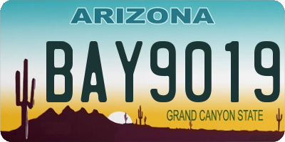 AZ license plate BAY9019