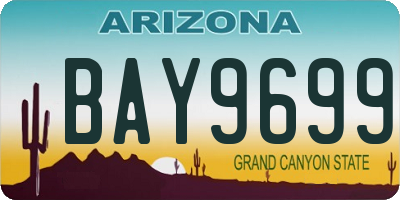 AZ license plate BAY9699