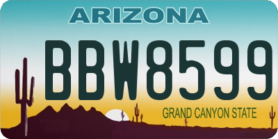 AZ license plate BBW8599