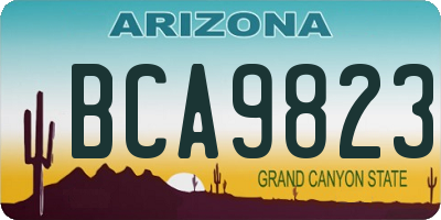 AZ license plate BCA9823