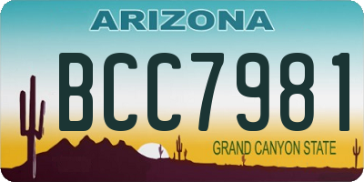 AZ license plate BCC7981