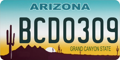 AZ license plate BCD0309