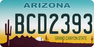 AZ license plate BCD2393