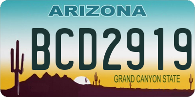 AZ license plate BCD2919