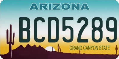 AZ license plate BCD5289