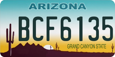 AZ license plate BCF6135