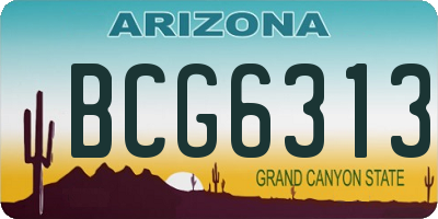 AZ license plate BCG6313