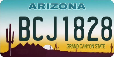 AZ license plate BCJ1828