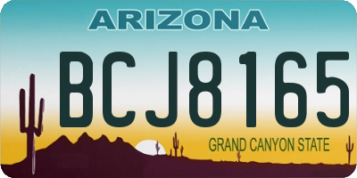 AZ license plate BCJ8165