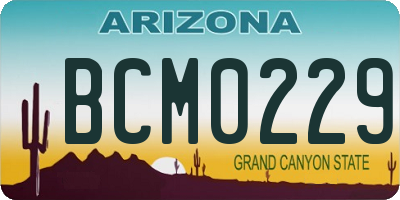 AZ license plate BCM0229