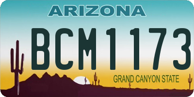 AZ license plate BCM1173