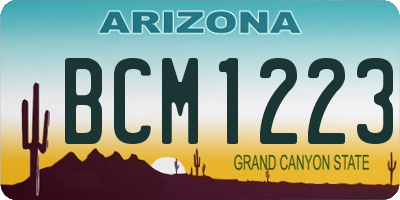 AZ license plate BCM1223