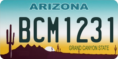 AZ license plate BCM1231