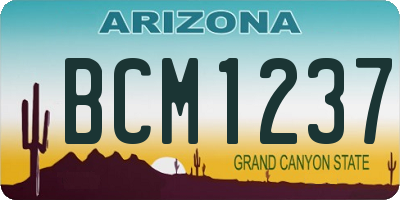 AZ license plate BCM1237