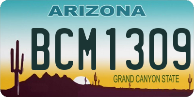 AZ license plate BCM1309