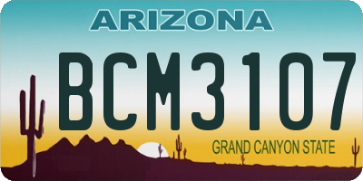 AZ license plate BCM3107