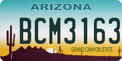 AZ license plate BCM3163