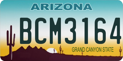 AZ license plate BCM3164