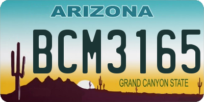 AZ license plate BCM3165