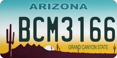 AZ license plate BCM3166