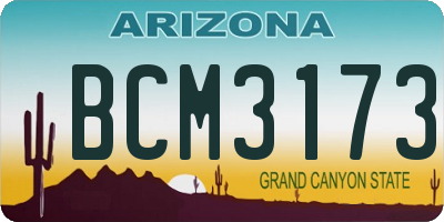 AZ license plate BCM3173