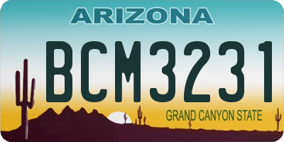 AZ license plate BCM3231