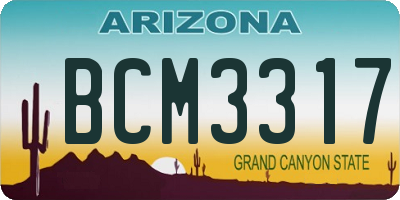 AZ license plate BCM3317