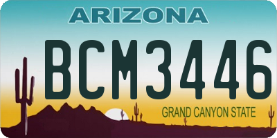 AZ license plate BCM3446