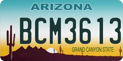 AZ license plate BCM3613