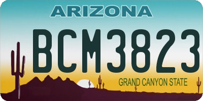 AZ license plate BCM3823