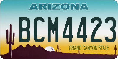 AZ license plate BCM4423