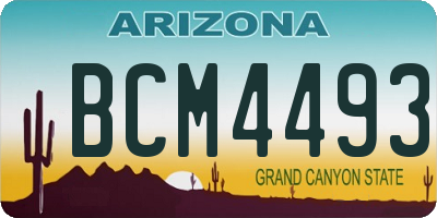 AZ license plate BCM4493