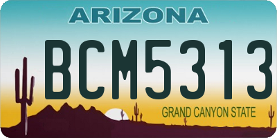 AZ license plate BCM5313