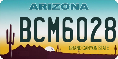 AZ license plate BCM6028