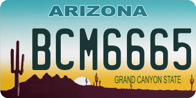 AZ license plate BCM6665