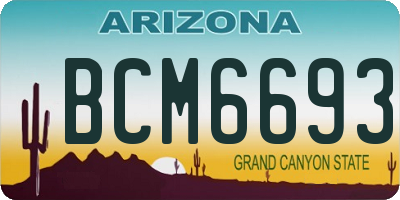 AZ license plate BCM6693