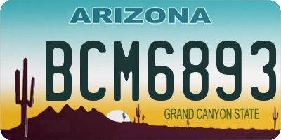 AZ license plate BCM6893