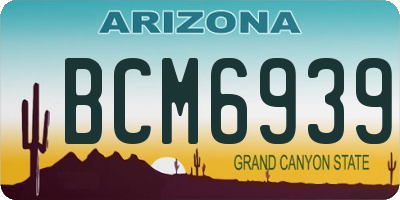 AZ license plate BCM6939