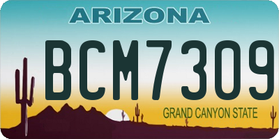 AZ license plate BCM7309