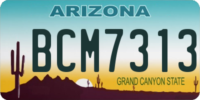 AZ license plate BCM7313