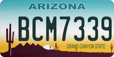 AZ license plate BCM7339