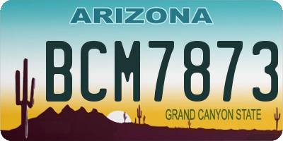 AZ license plate BCM7873