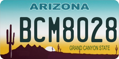 AZ license plate BCM8028