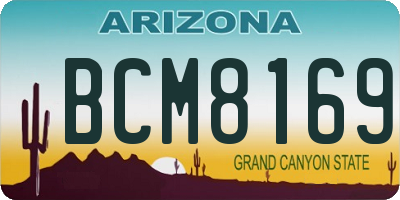 AZ license plate BCM8169