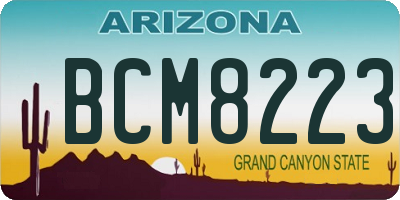 AZ license plate BCM8223