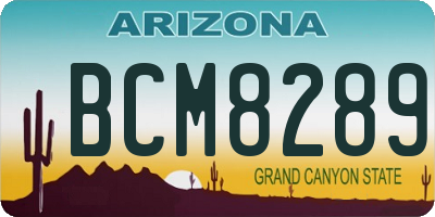 AZ license plate BCM8289