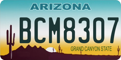 AZ license plate BCM8307