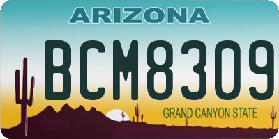 AZ license plate BCM8309