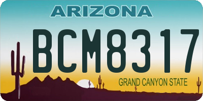 AZ license plate BCM8317